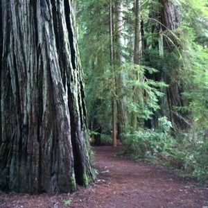 Meet your Posher, Brenda